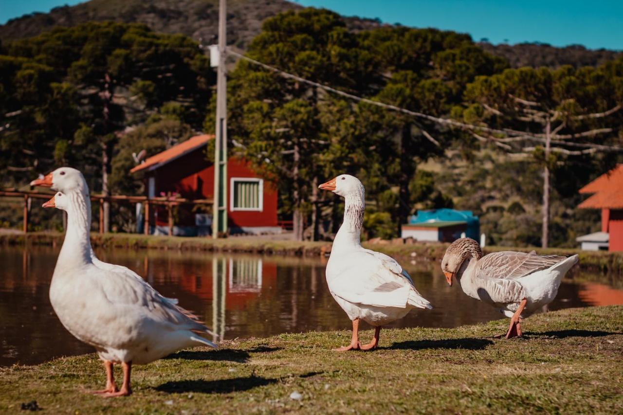 Pousada Lago Da Colina Urubici Eksteriør billede